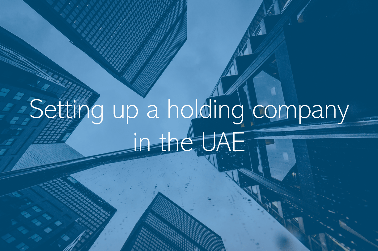 Setting up a holding company in the UAE | PRO Partner Group